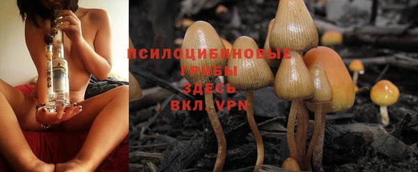 spice Балахна