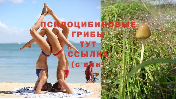 мяу мяу кристалл Баксан