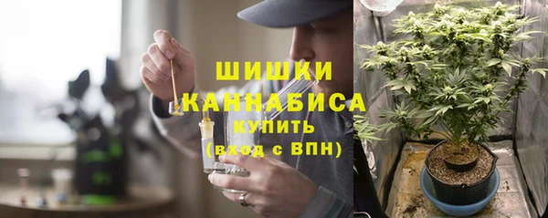 spice Балахна